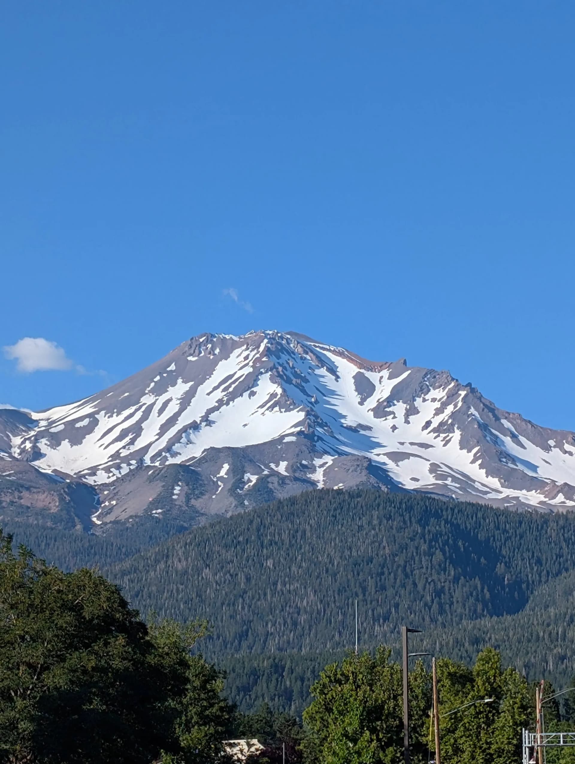 A snow-capped peak rising above an evergreen forest
