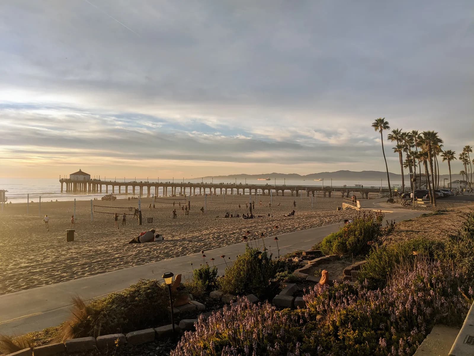 Palm trees and a pier over the sand at golden hour