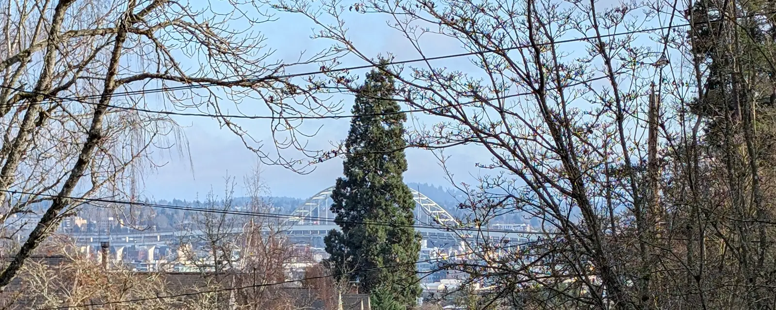 A tree-lined residential street with a bridge on the horizon